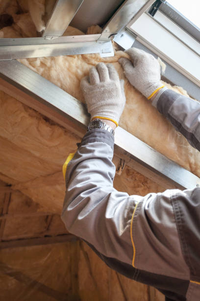 Best Residential Insulation in Iowa, LA