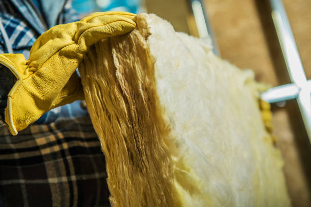 Best Insulation Installation Services in Iowa, LA